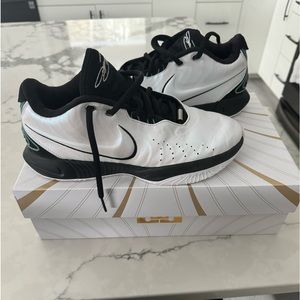 Lebron James 21 basketball 🏀 (9.5 men's)